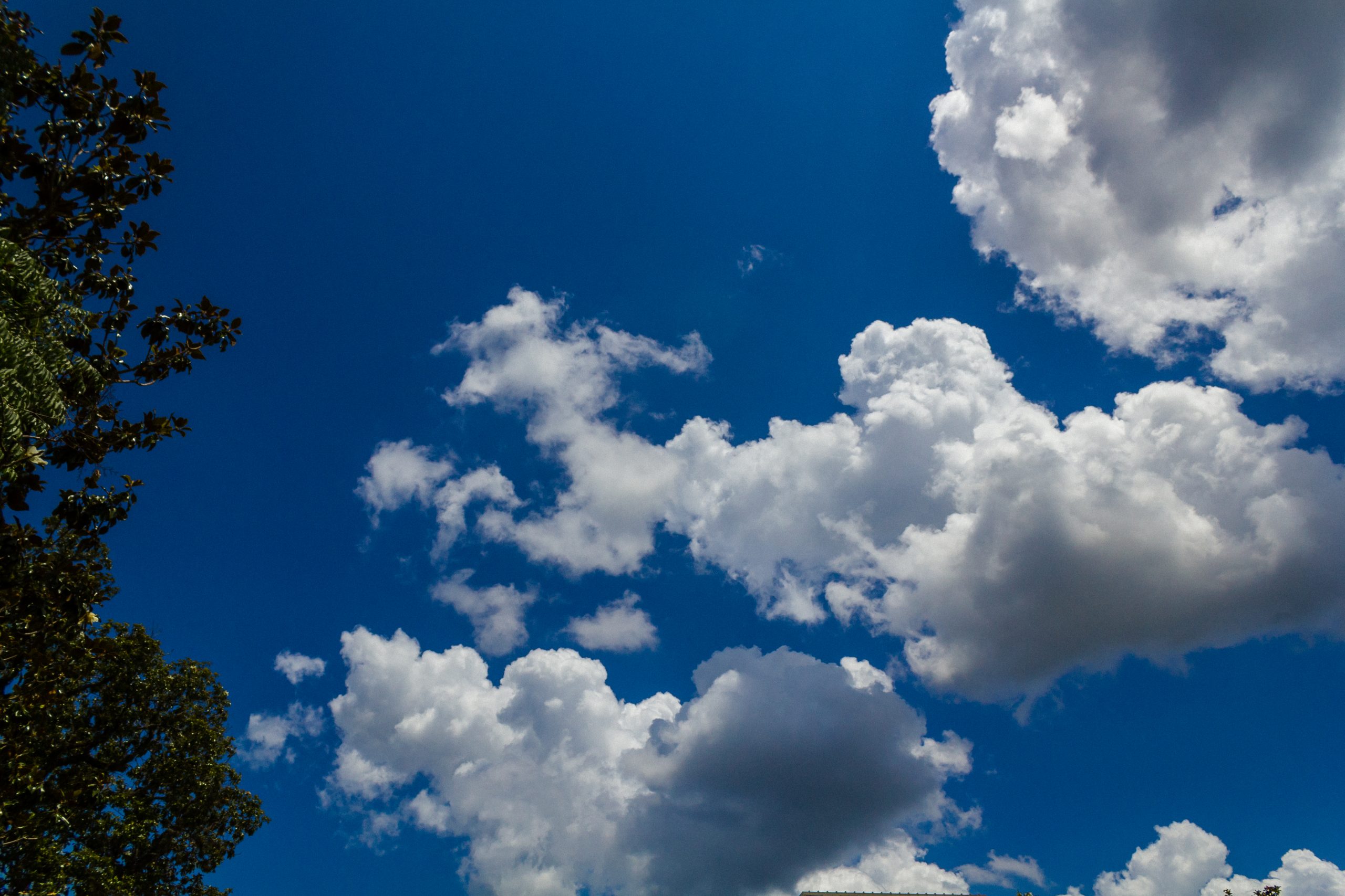 Blue Skies over Gainesville Florida.