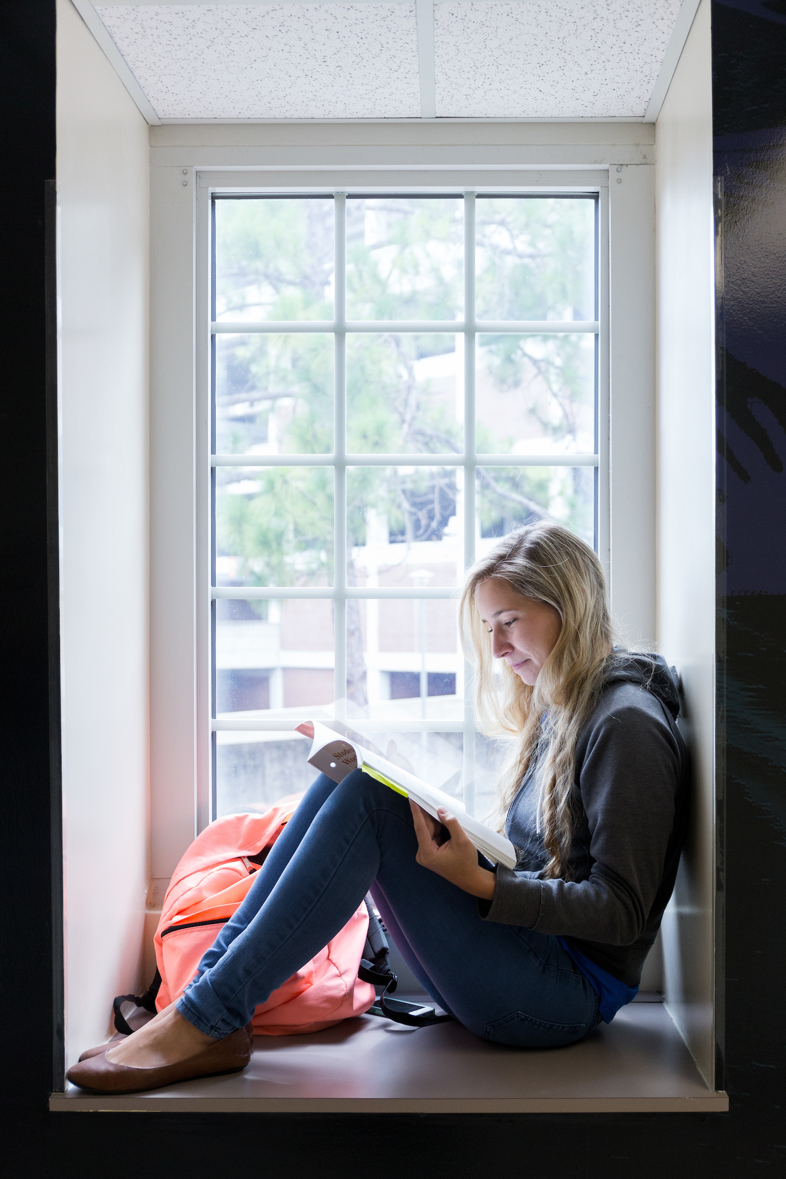 a student studies in the window of the College of Health and Human Performance.