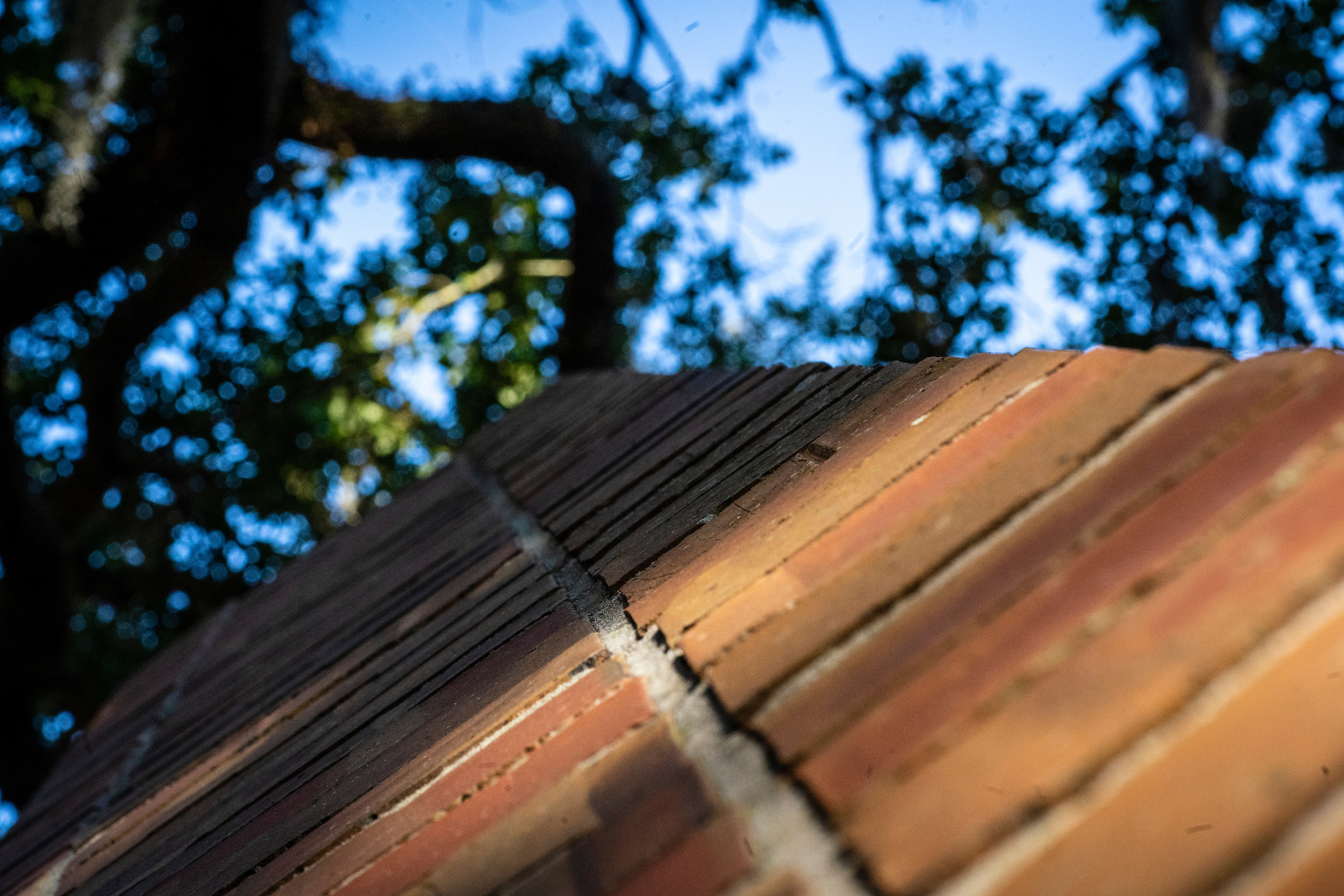 low angle of the edge of a brick building looking up into the trees.