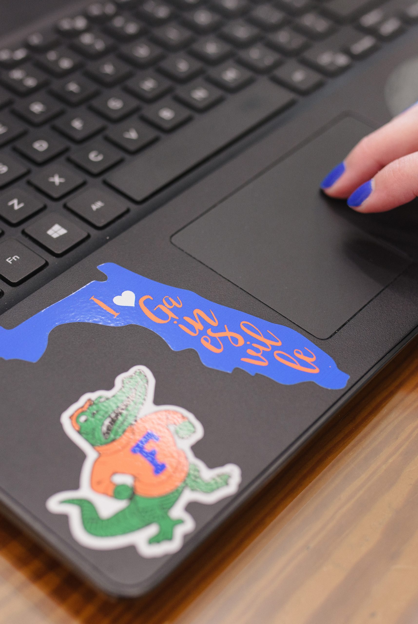 A fighting albert and a state of florida sticker on a black laptop.