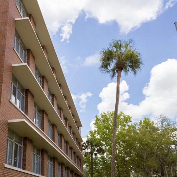 East hall exterior with a palm tree.