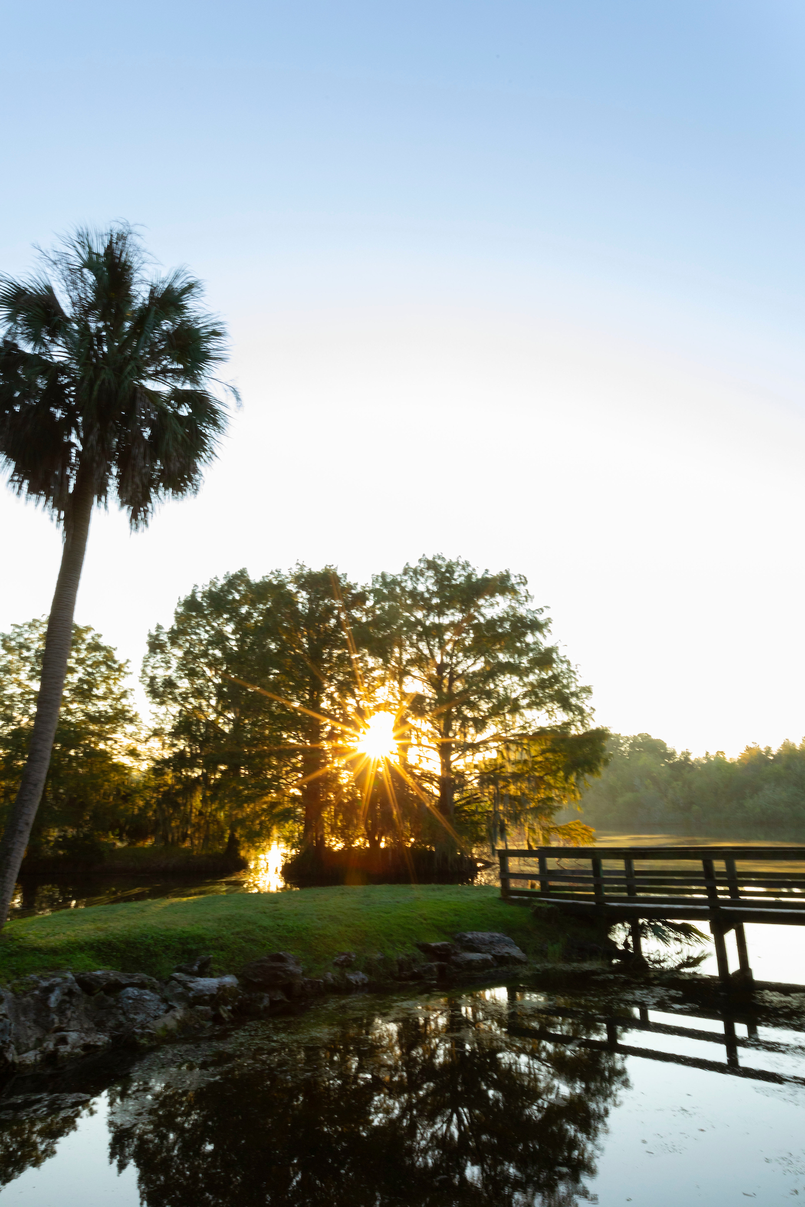 Lake Alice during sunrise.