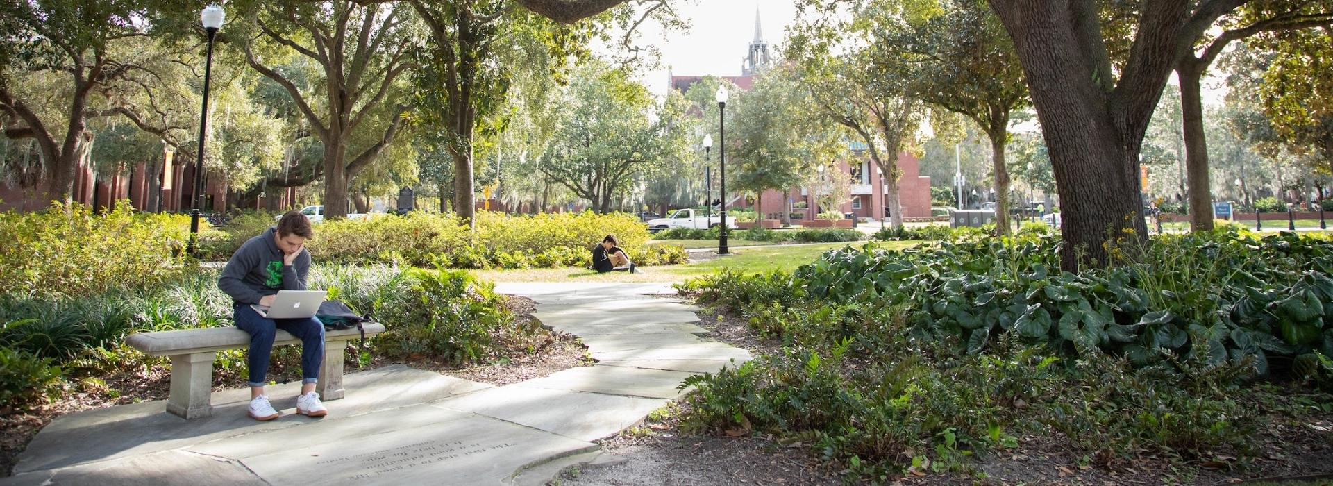 a student works on his laptop in the Plaza of the America's