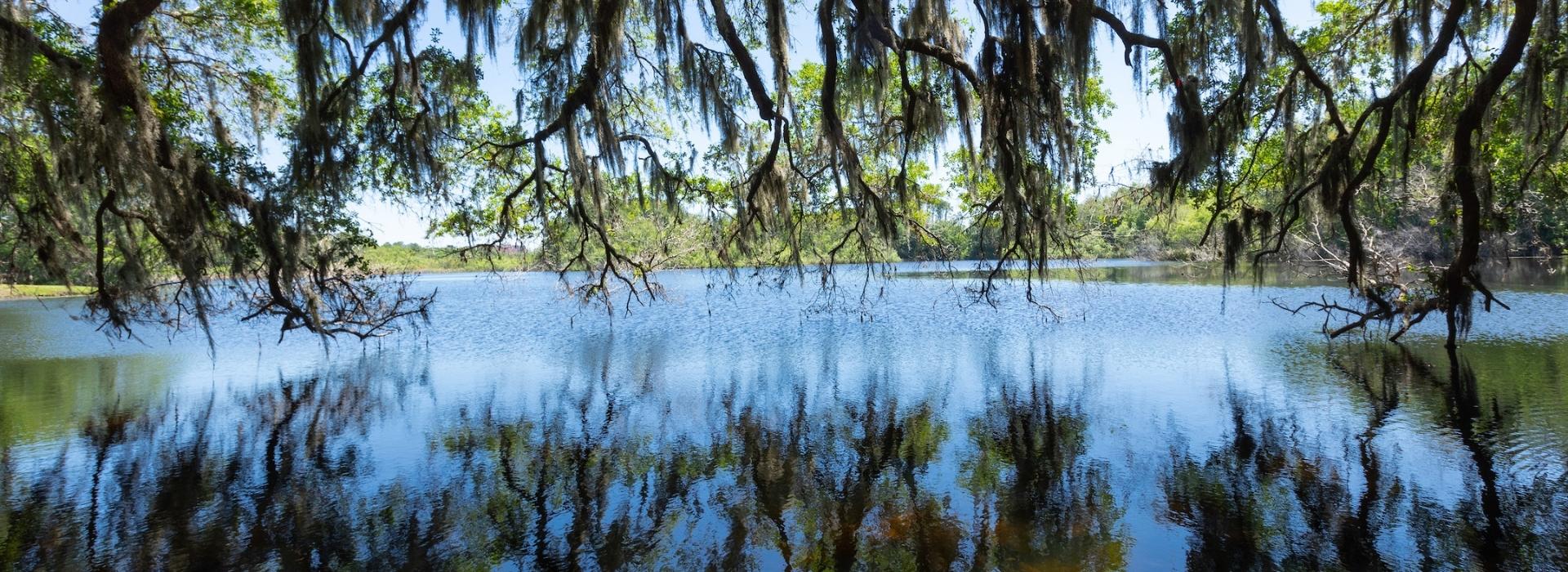 Lake Alice during the day.